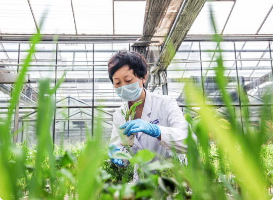 ����ũҵ����