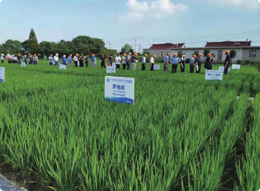 ����ũҵ����