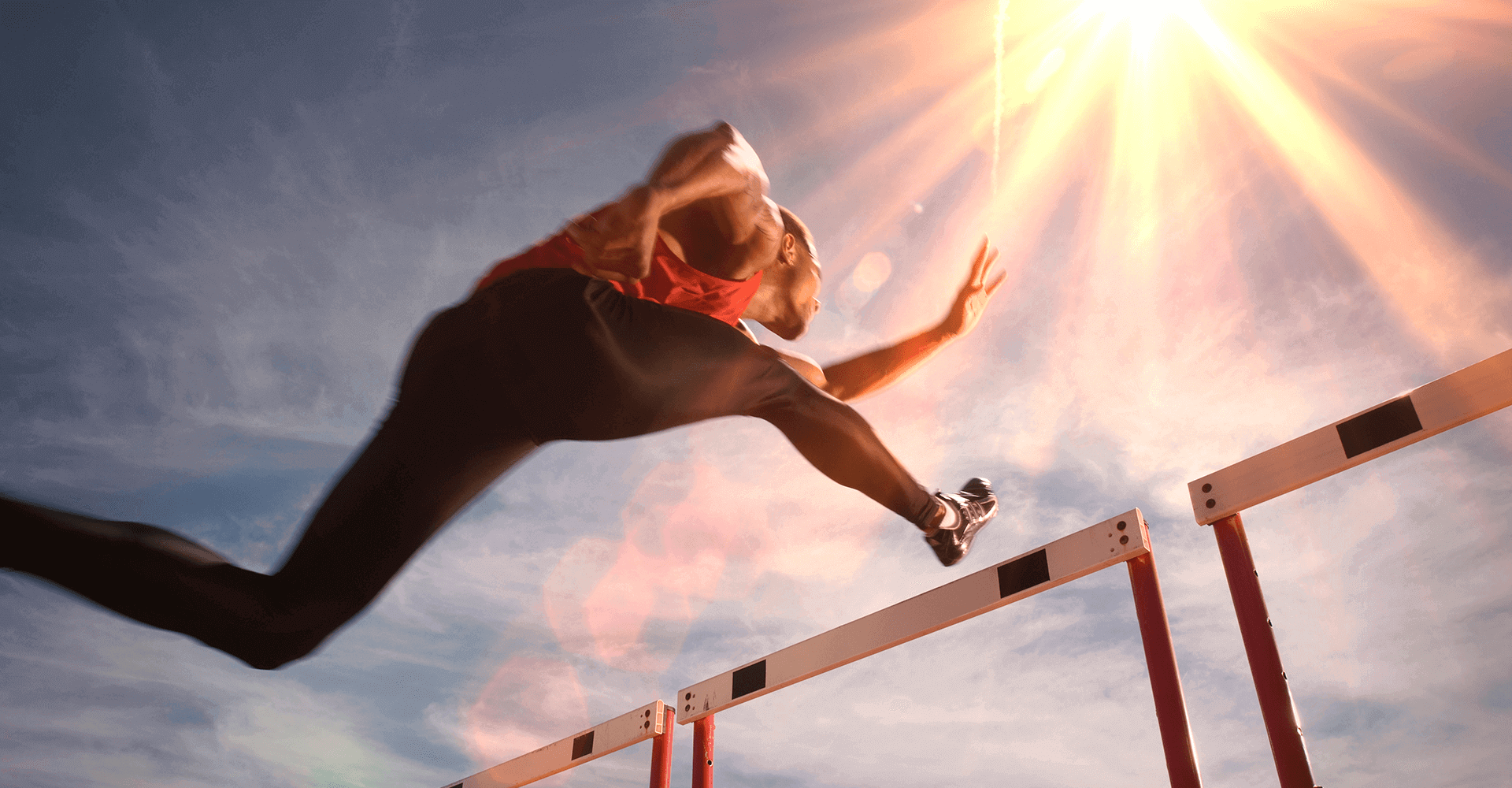 Pharmaceutical and Healthcare  